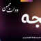 دانلود آهنگ کرمانجی «خجه» محسن دولت [کیفیت ۳۲۰] فولکز